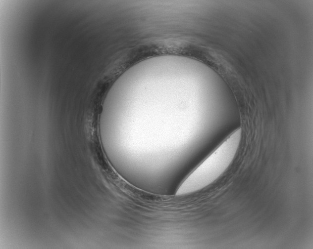 X0000071950599200607071041