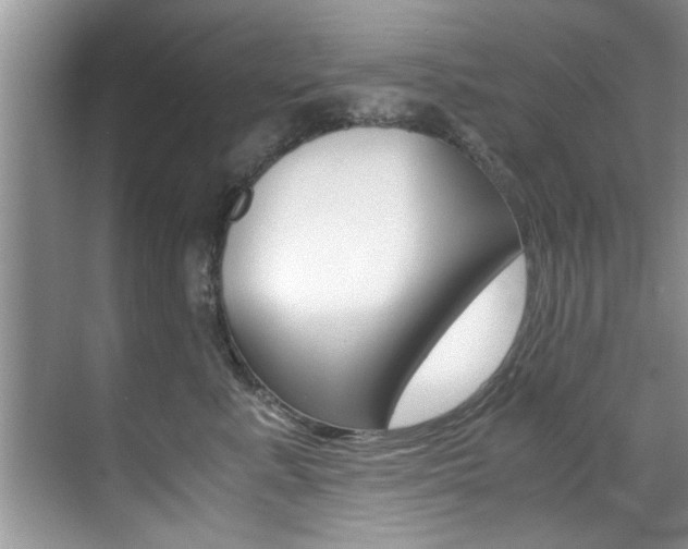 X0000071950619200607071041