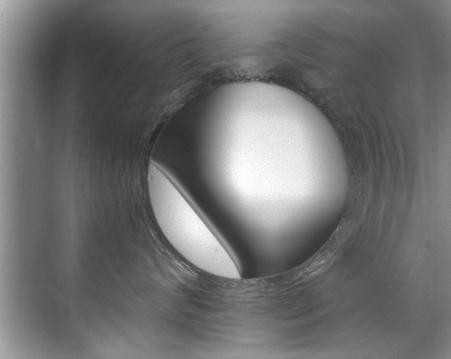 X0000071950624200607071040