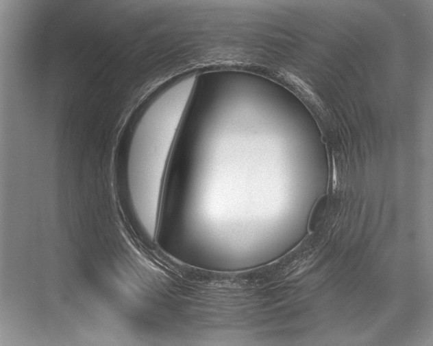 X0000071950627200607071040