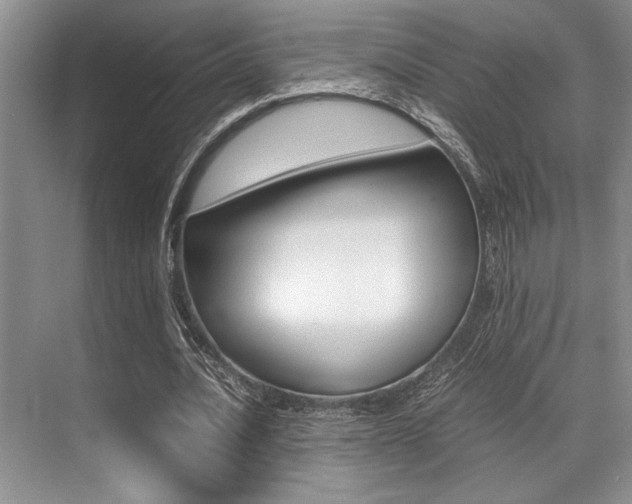 X0000071950628200607071040