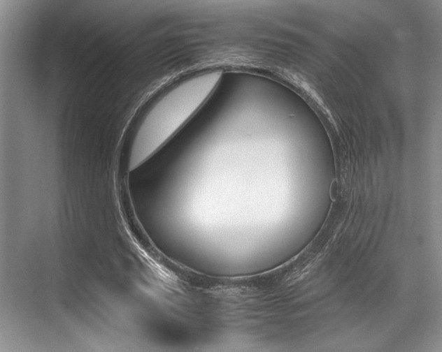 X0000071950629200607071040