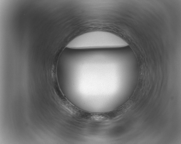 X0000071950650200607071040