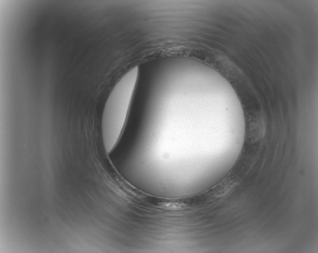 X0000071950654200607071040