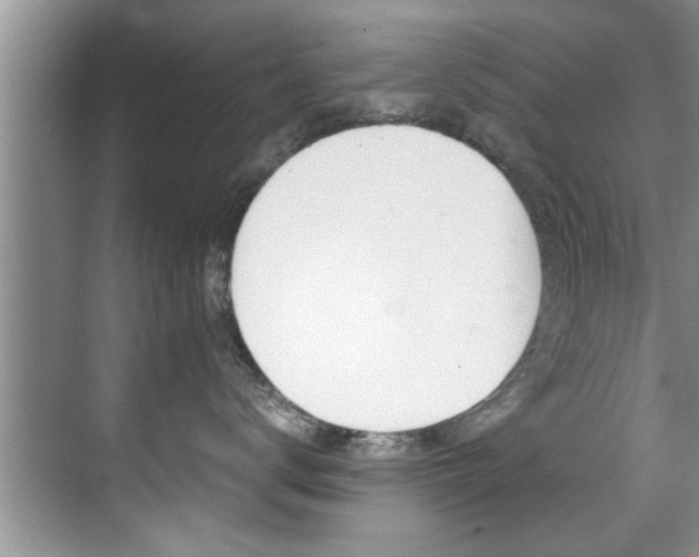 X0000071950672200607071040