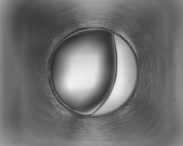 X0000071950673200607071040