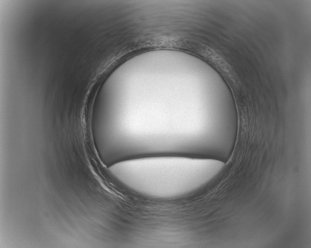 X0000071950674200607071040