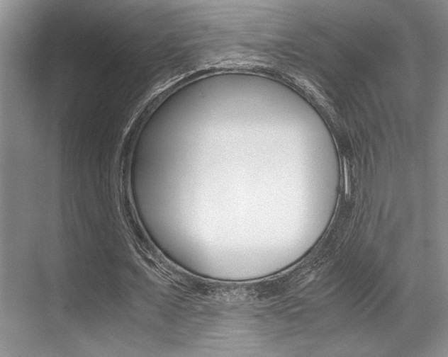 X0000071950675200607071040