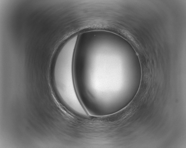 X0000071950677200607071040