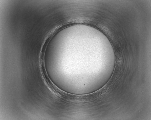 X0000071950678200607071040