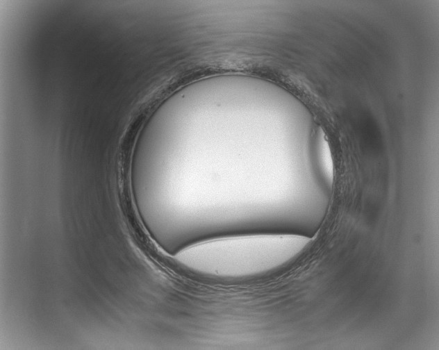 X0000071950683200607071040