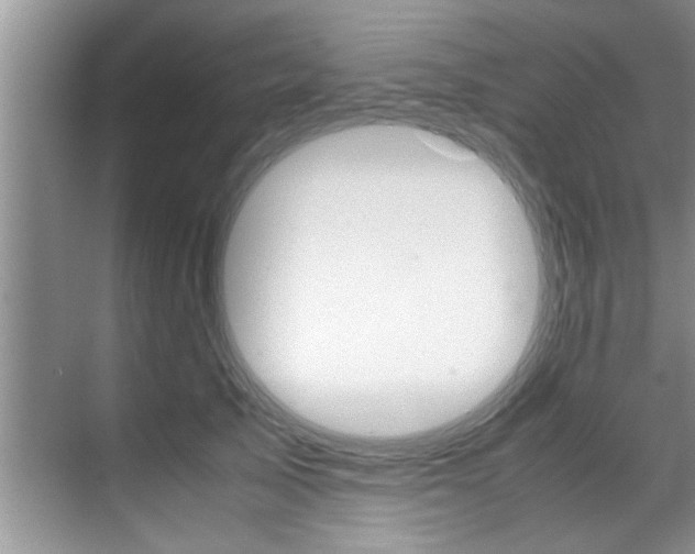 X0000071950705200607071039
