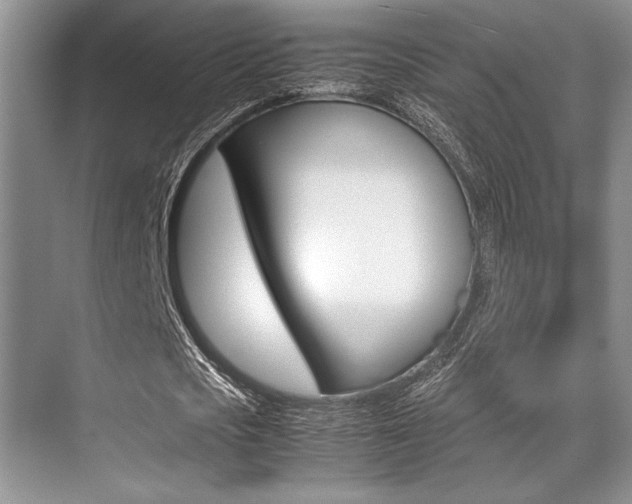 X0000071950721200607071038
