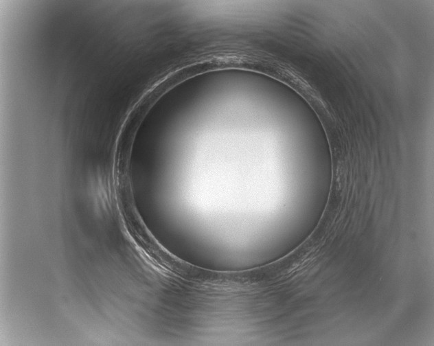 X0000071950722200607071038