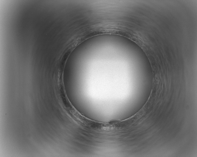 X0000071950744200607071038