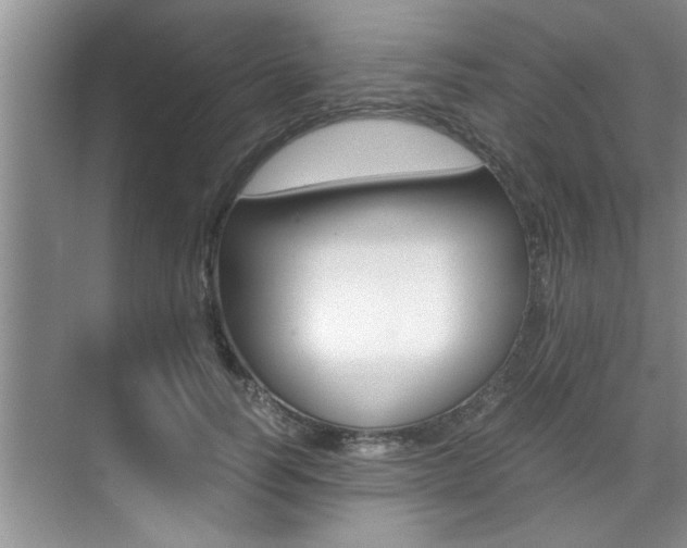 X0000071950746200607071038