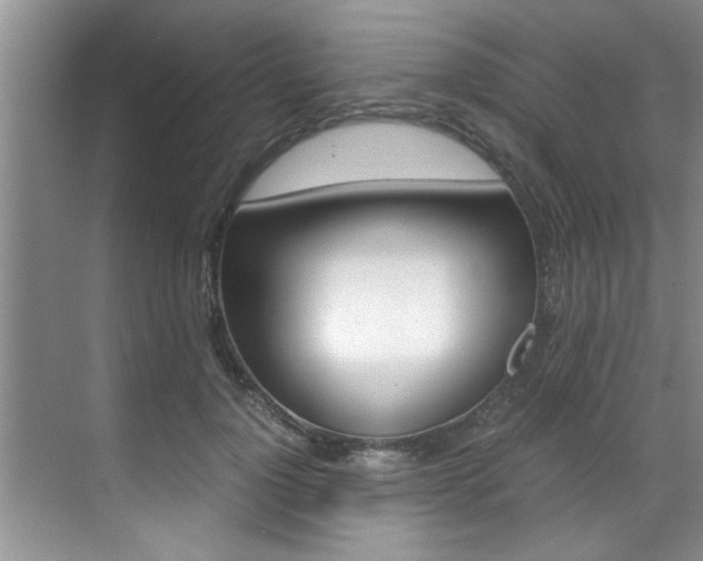X0000071950748200607071039