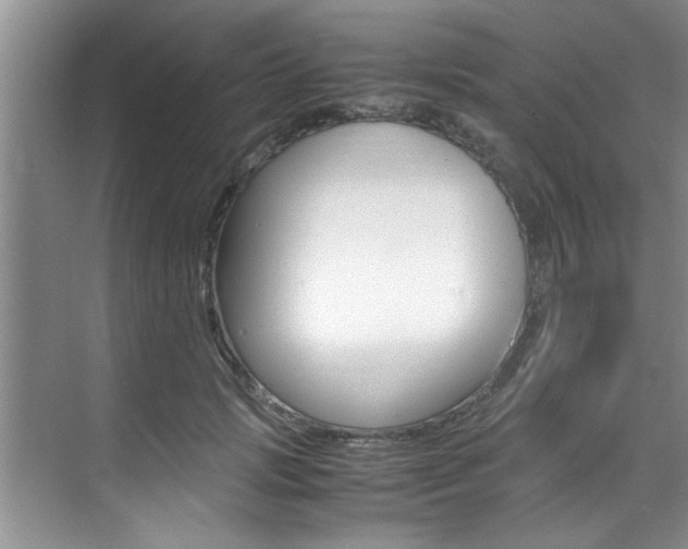 X0000071950749200607071039
