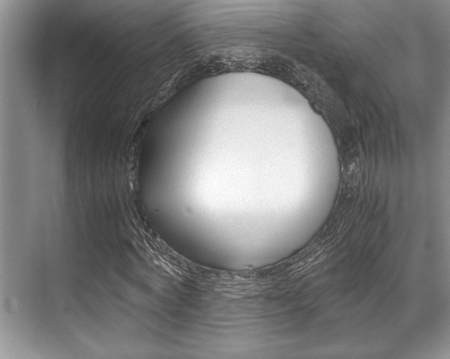 X0000071950772200607071038