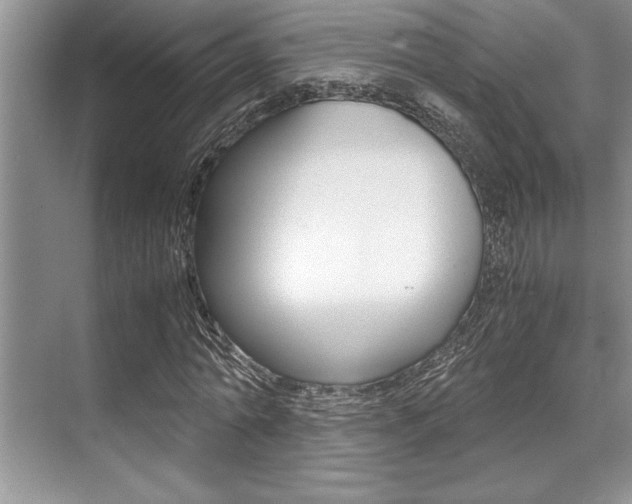 X0000071950774200607071038