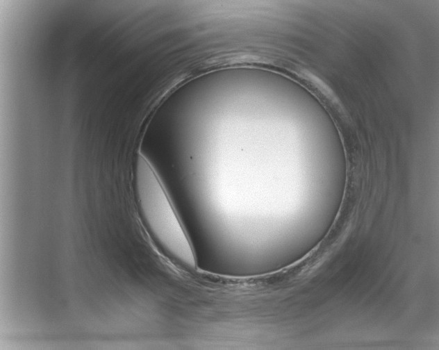 X0000071950793200607071038