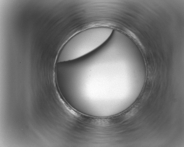 X0000071950802200607071038