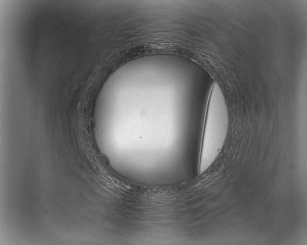 X0000071950817200607071036