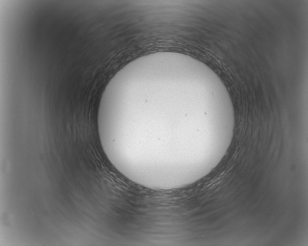 X0000071950818200607071036