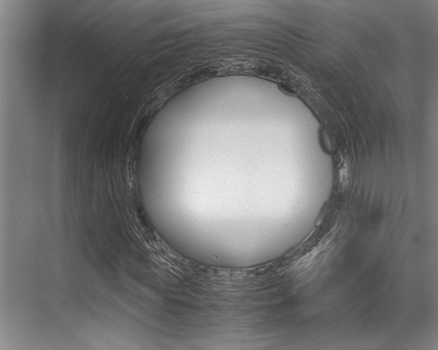X0000071950819200607071037