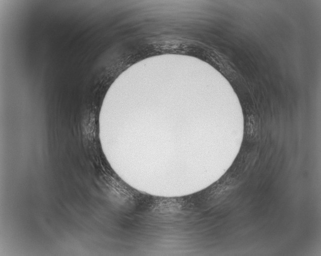 X0000071950820200607071037