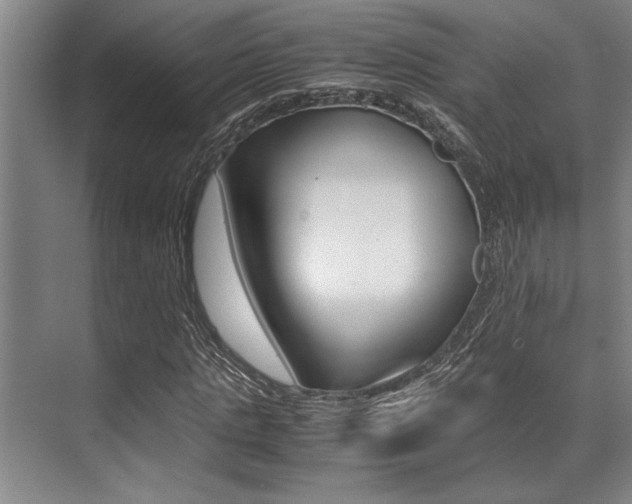 X0000071950821200607071037