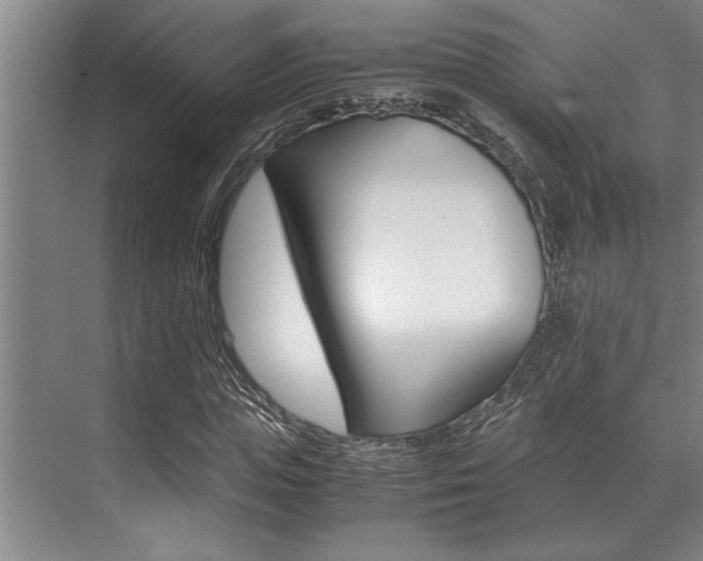 X0000071950823200607071037