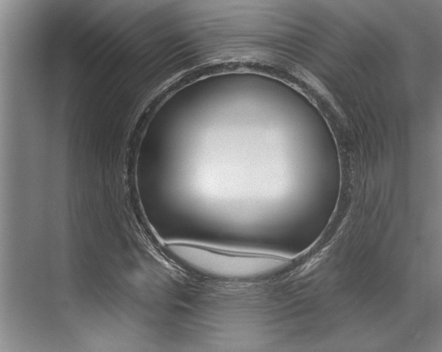 X0000071950826200607071037