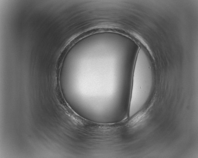 X0000071950829200607071037