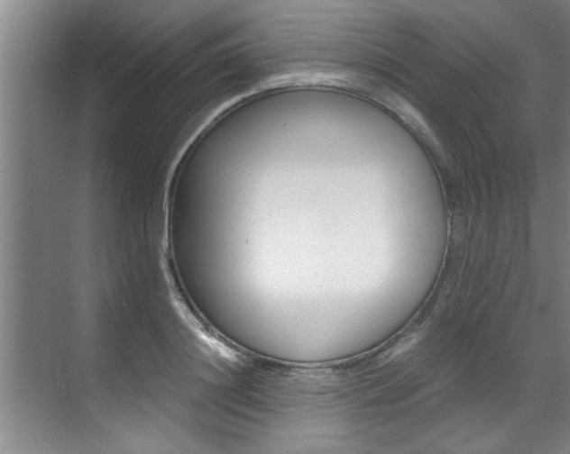X0000071950844200607071037