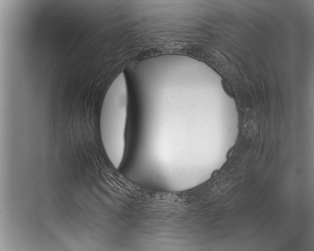 X0000071950866200607071036