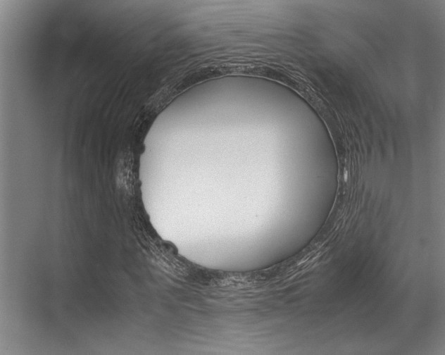 X0000071950867200607071036
