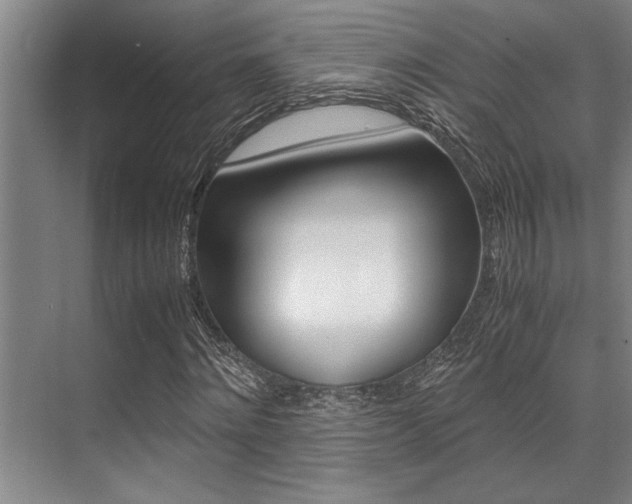 X0000071950868200607071036