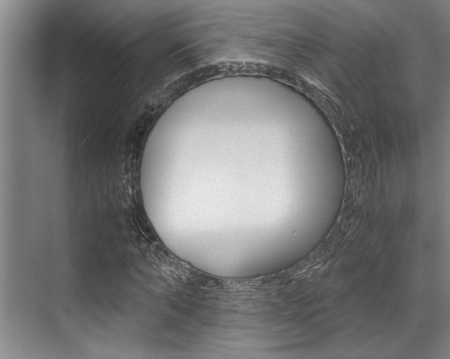 X0000071950870200607071036