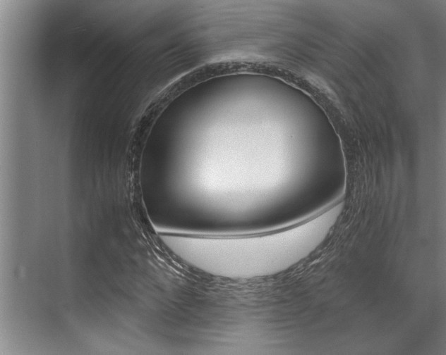 X0000071950872200607071036