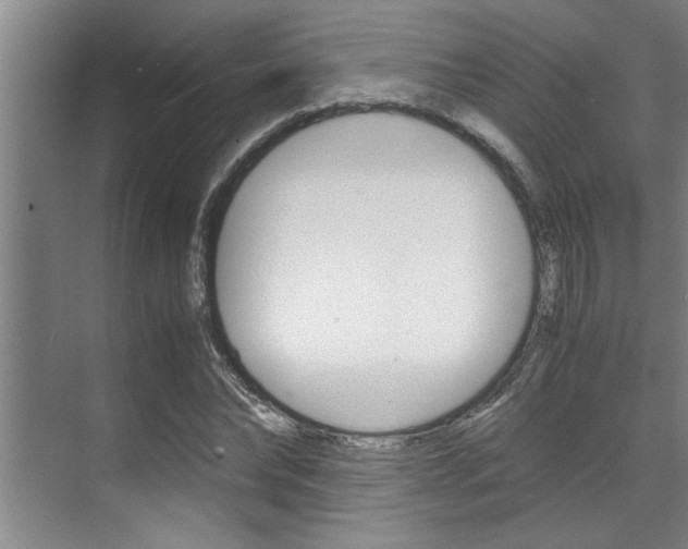 X0000071950878200607071036