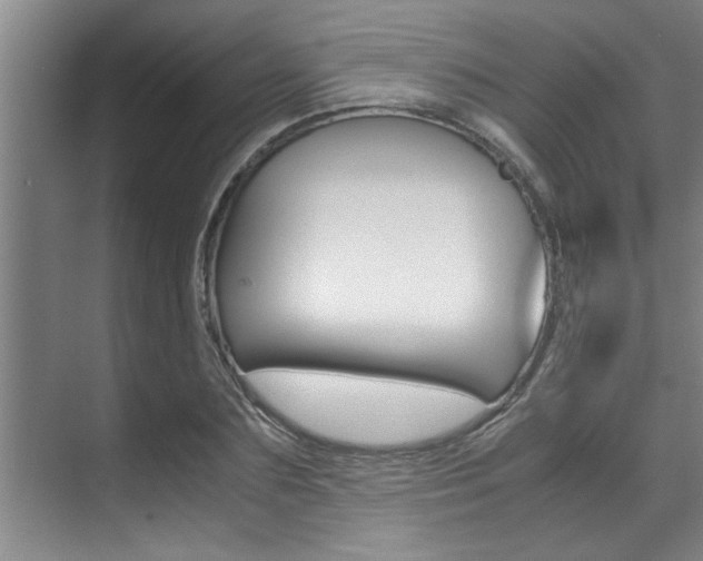 X0000071950883200607071036