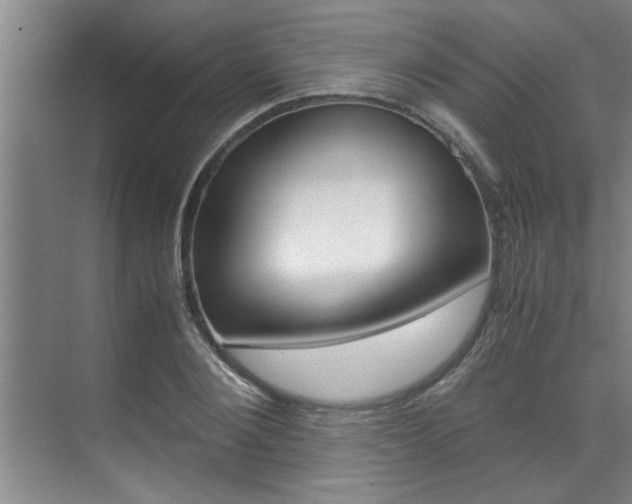 X0000071950884200607071036