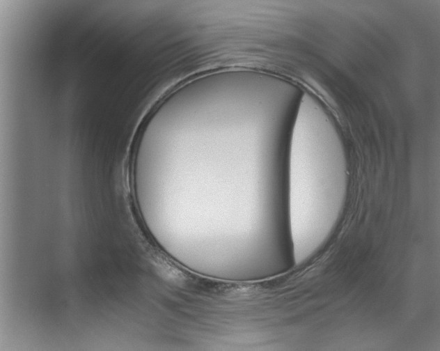 X0000071950891200607071036
