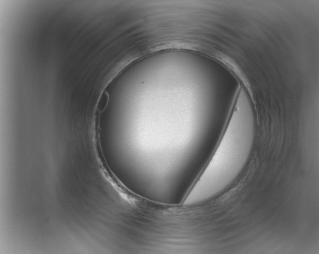 X0000071950898200607071036