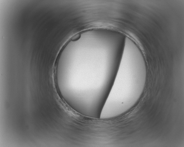X0000071950899200607071036