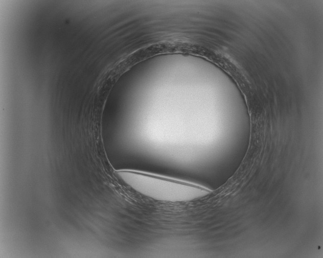 X0000071950919200607071035