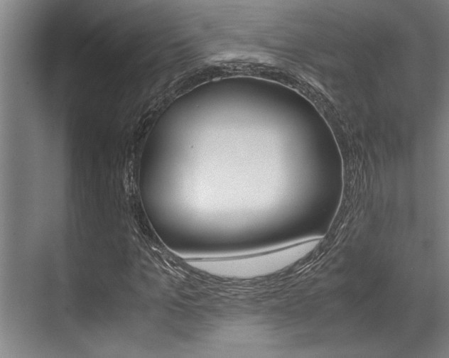 X0000071950965200607071035
