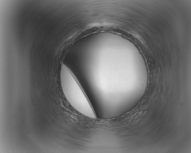 X0000071950967200607071035