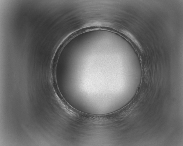 X0000071950972200607071035